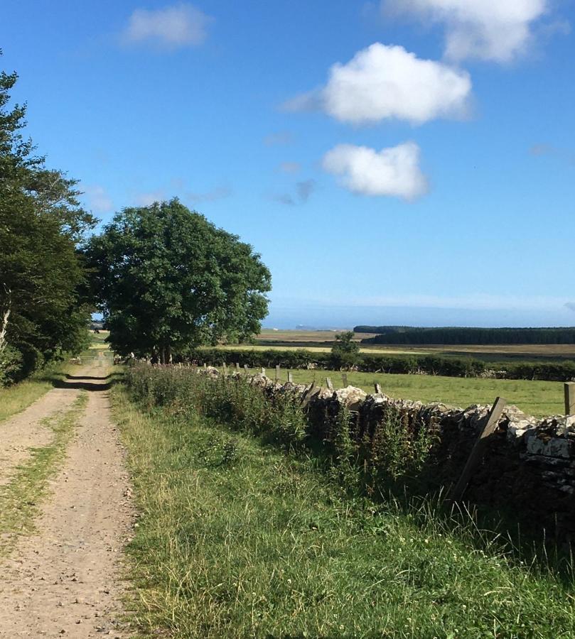 Caithness View Luxury Farm Lodges And Bbq Huts Wick  Esterno foto