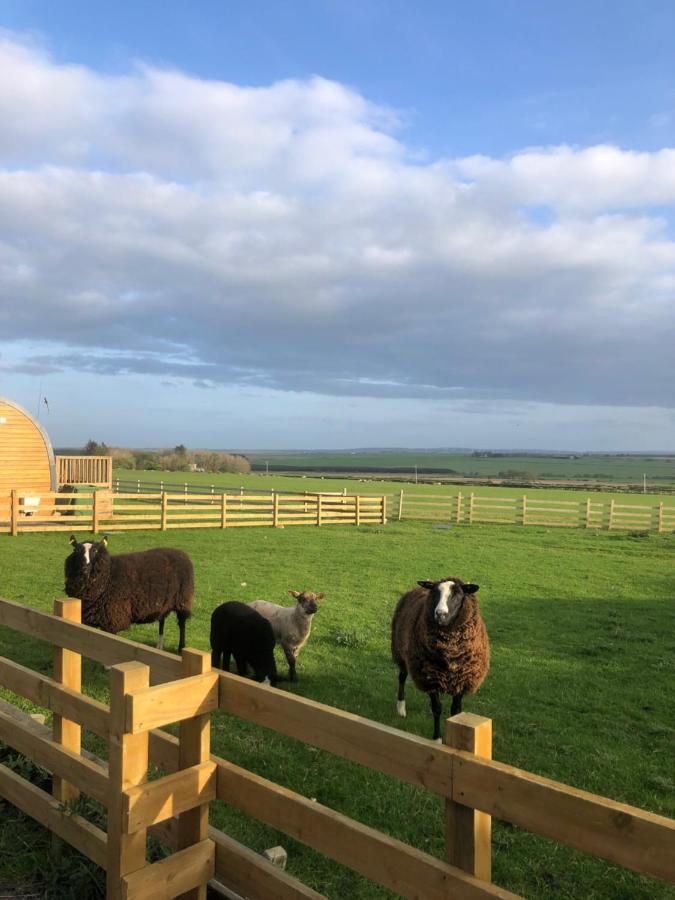Caithness View Luxury Farm Lodges And Bbq Huts Wick  Esterno foto