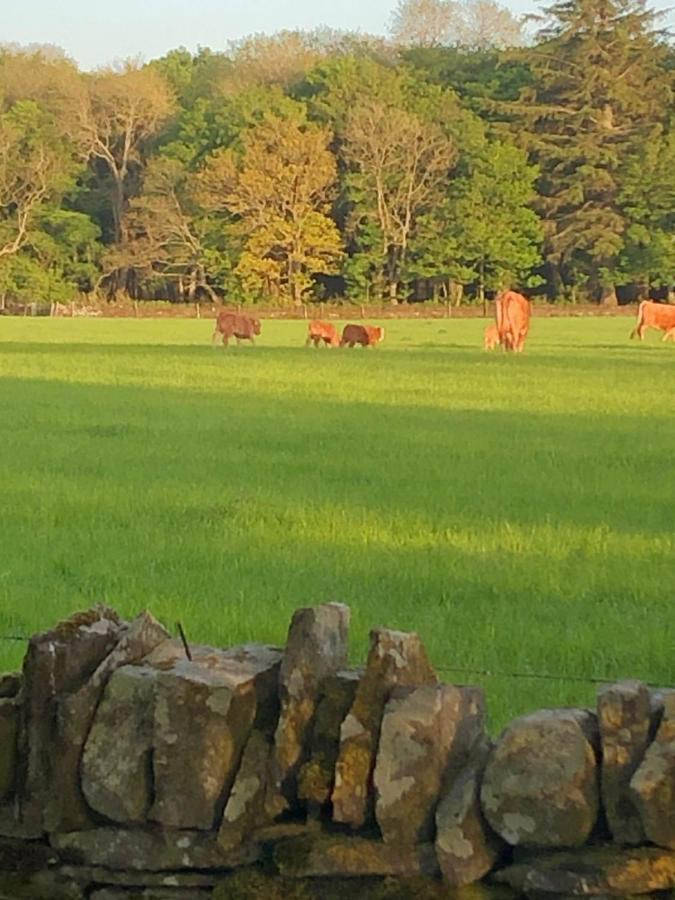 Caithness View Luxury Farm Lodges And Bbq Huts Wick  Esterno foto